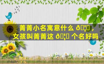 菁菁小名寓意什么 🦅 ,女孩叫菁菁这 🦅 个名好吗